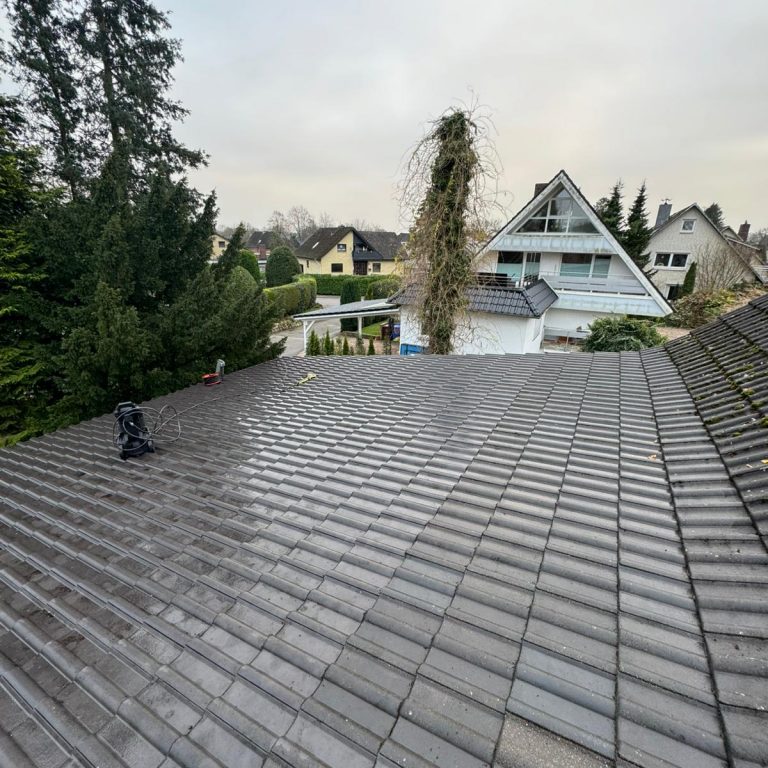 WhatsApp Image 2024-12-21 at 19.33.47 (1)