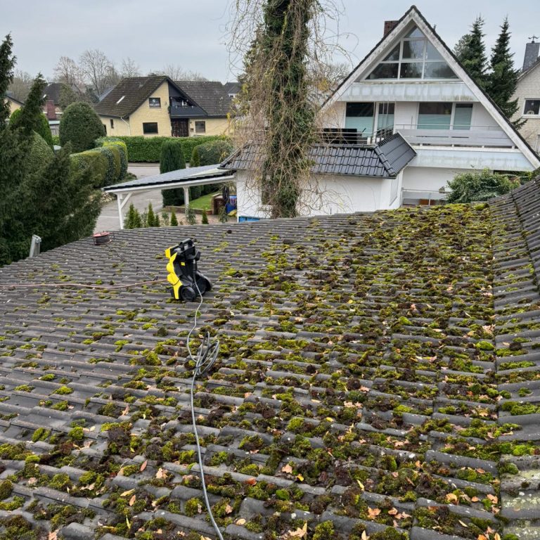 WhatsApp Image 2024-12-21 at 19.33.47