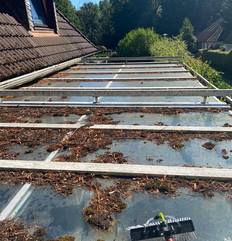 WhatsApp Image 2024-11-17 at 09.46.22